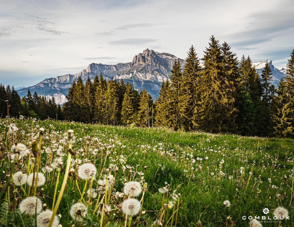 Chalet Alpen Valley, Mont-Blanc Комбо Екстериор снимка