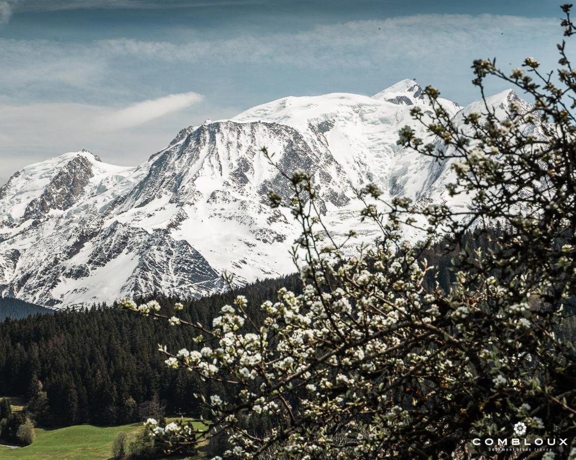 Chalet Alpen Valley, Mont-Blanc Комбо Екстериор снимка