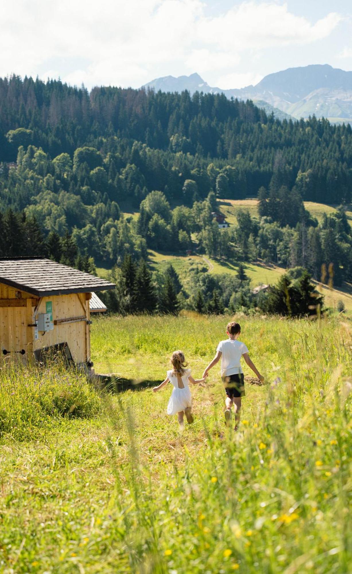 Chalet Alpen Valley, Mont-Blanc Комбо Екстериор снимка